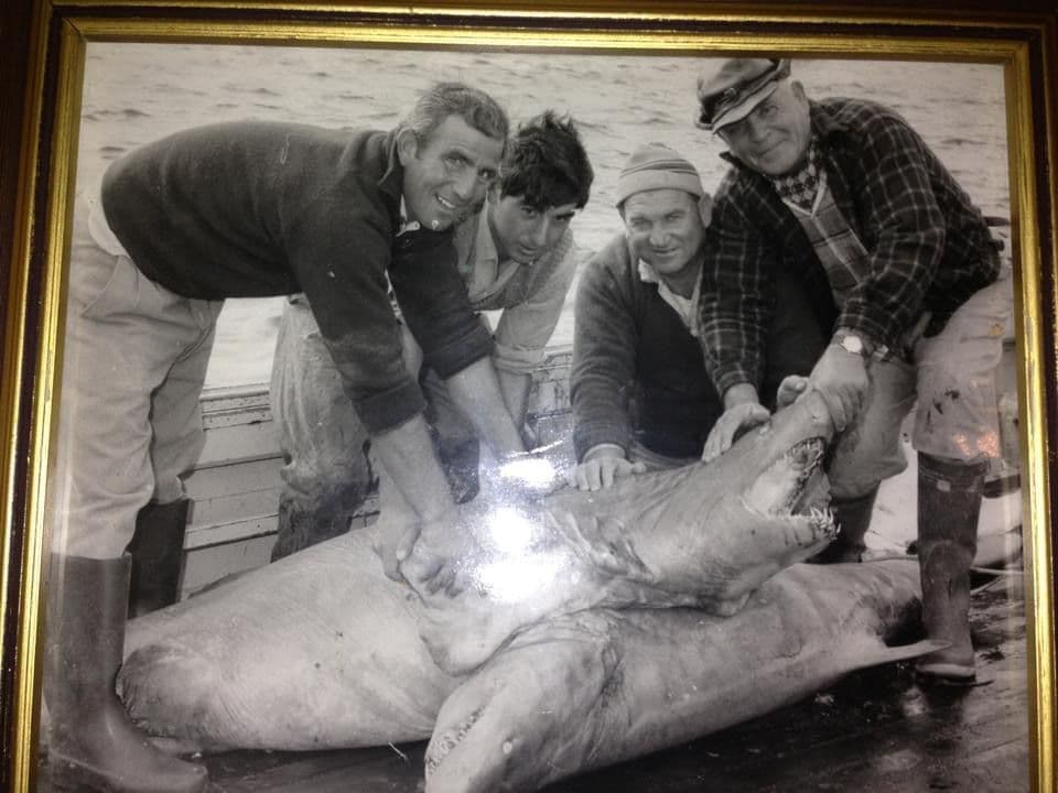 Filippo Befumo Antonio Guarino Giuseppe Merlino Benedetto Befumo 1970 Shark Fishing